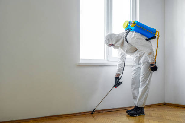 Best Organic or Eco-Friendly Pest Control  in Akron, IN